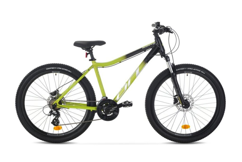 ROWER ONILUS MURANUS 1.1 2024