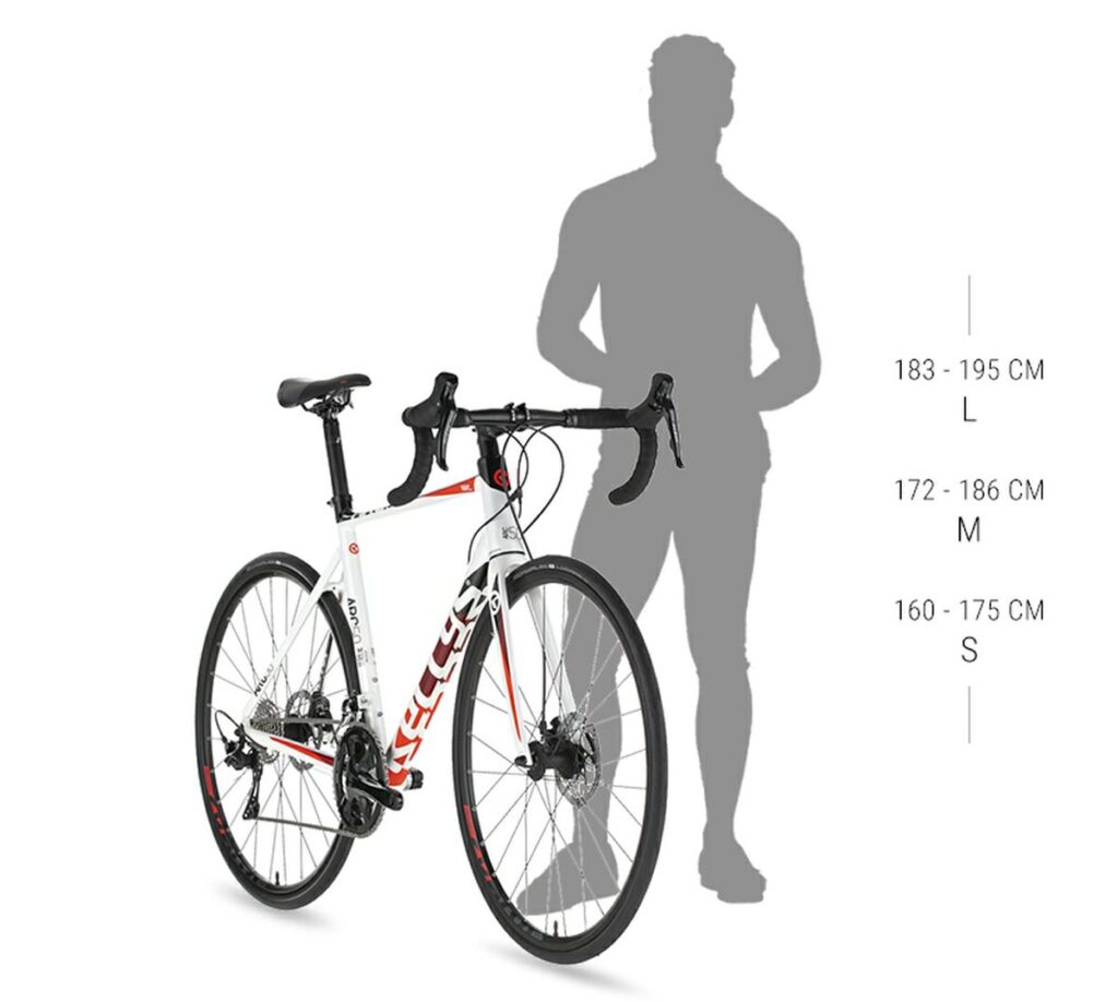 ROWER KELLYS ARC 50 2023/2024