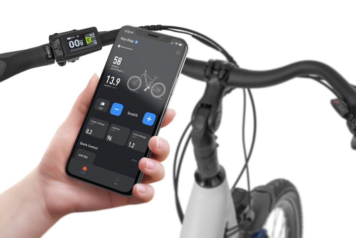 ROWER ECOBIKE 28″ D LX 100 19″ WHITE z baterią 14Ah