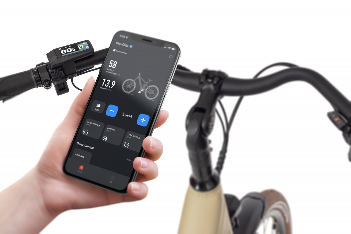 ROWER ECOBIKE X-CITY