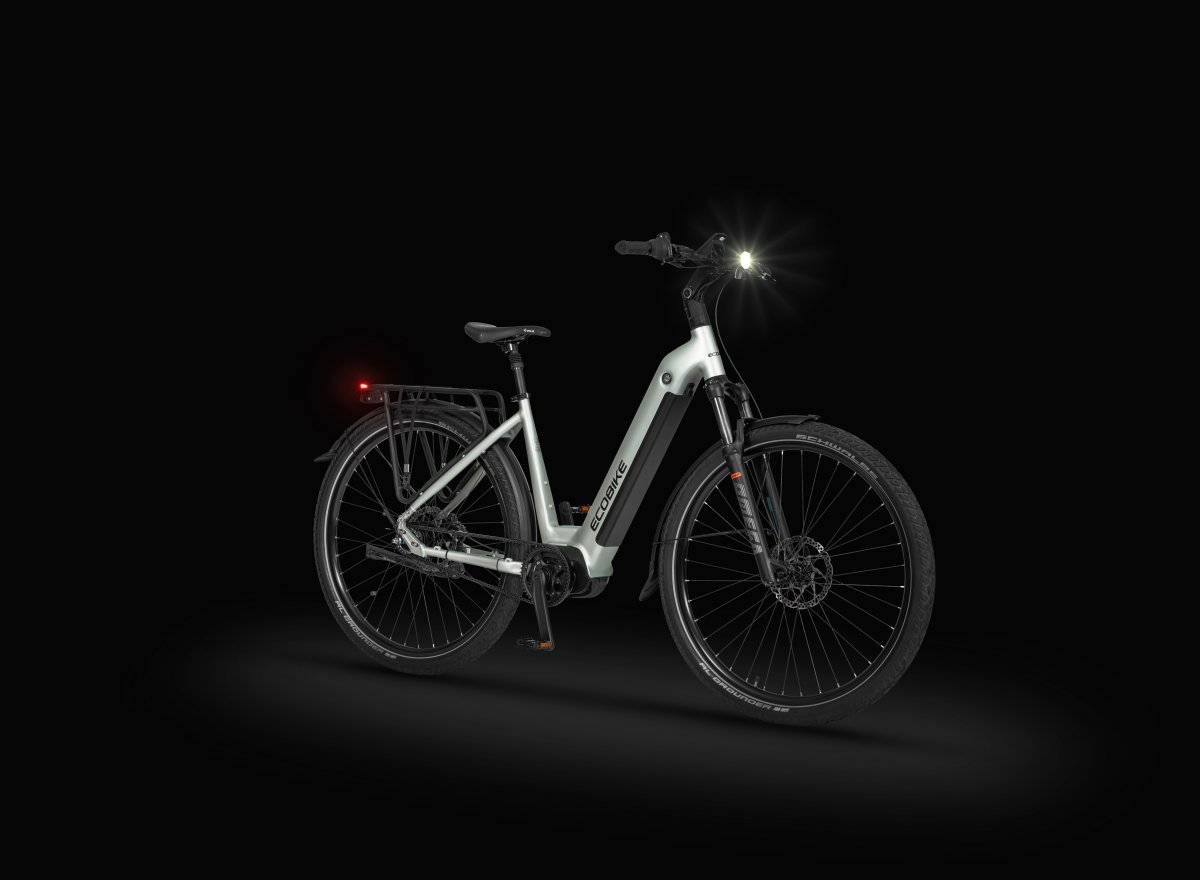 ROWER ECOBIKE 28″ D LX 400 1