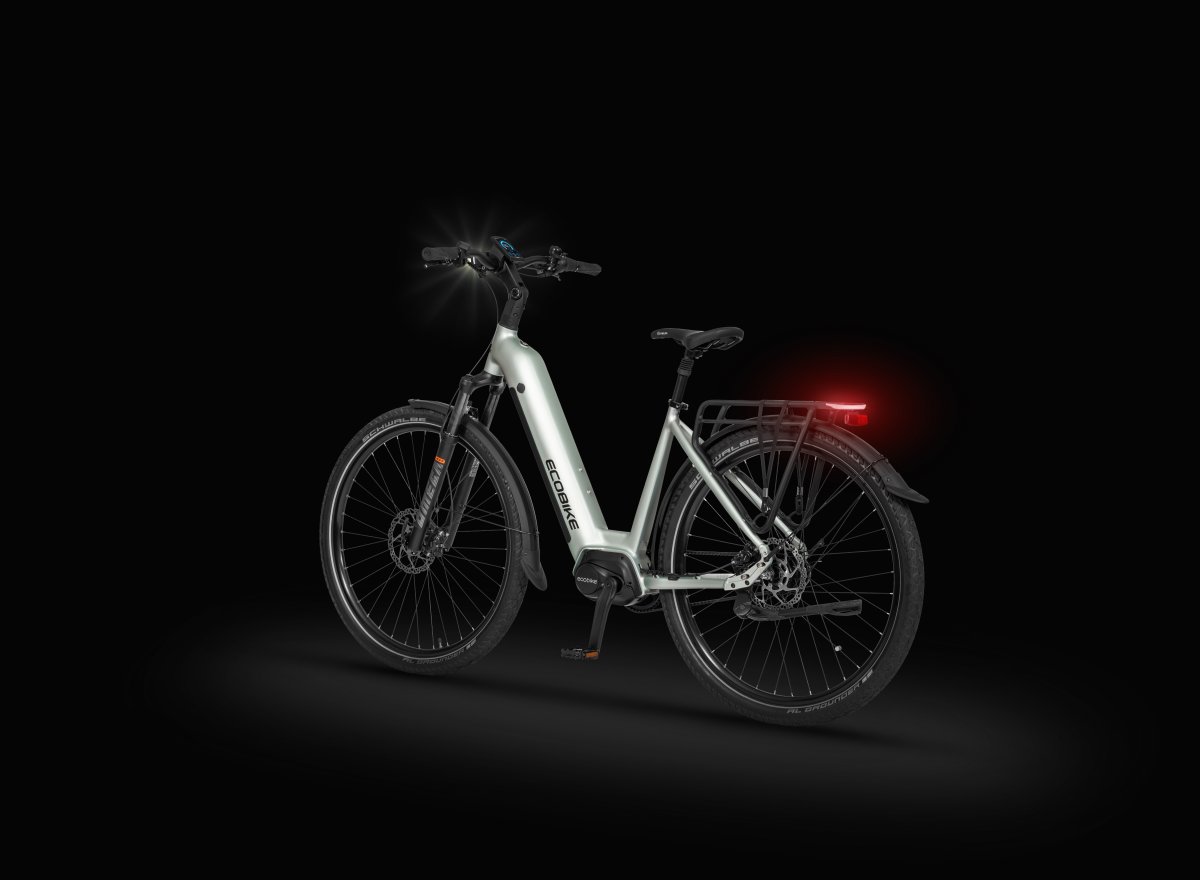 ROWER ECOBIKE 28″ D LX 400 1