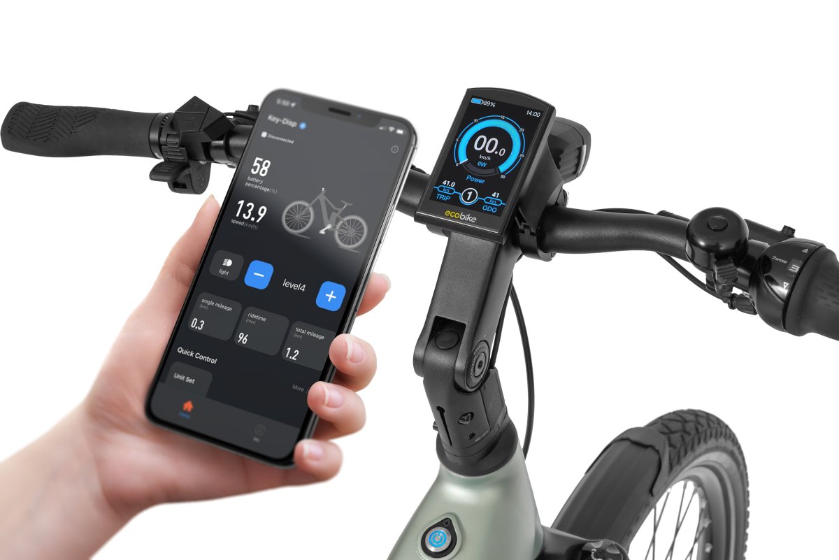 ROWER ECOBIKE 28″ D LX 400 1