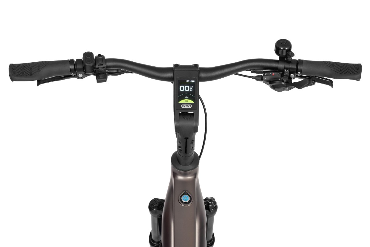 ROWER ECOBIKE MX 300 2026 – 19″