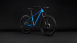 ROWER CUBE 29″ M AIM PRO roz.