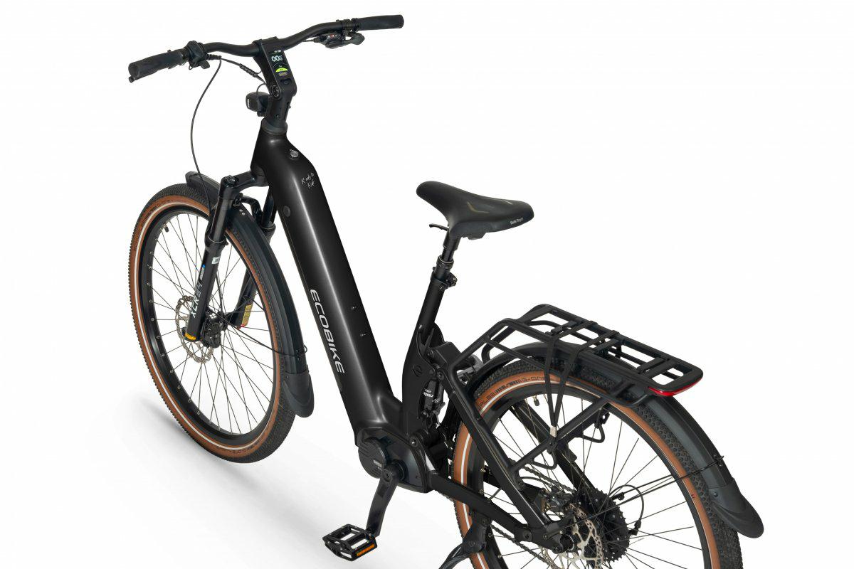 ROWER ECOBIKE FLEX