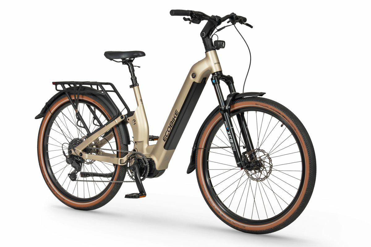 ROWER ECOBIKE FLEX