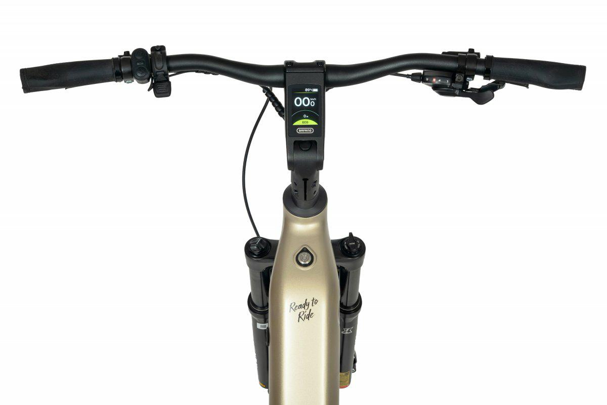ROWER ECOBIKE FLEX