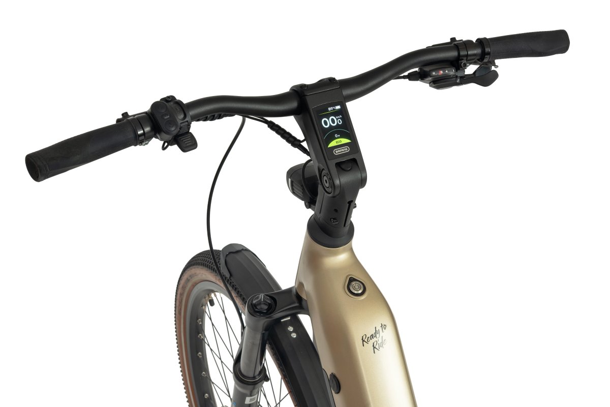 ROWER ECOBIKE FLEX