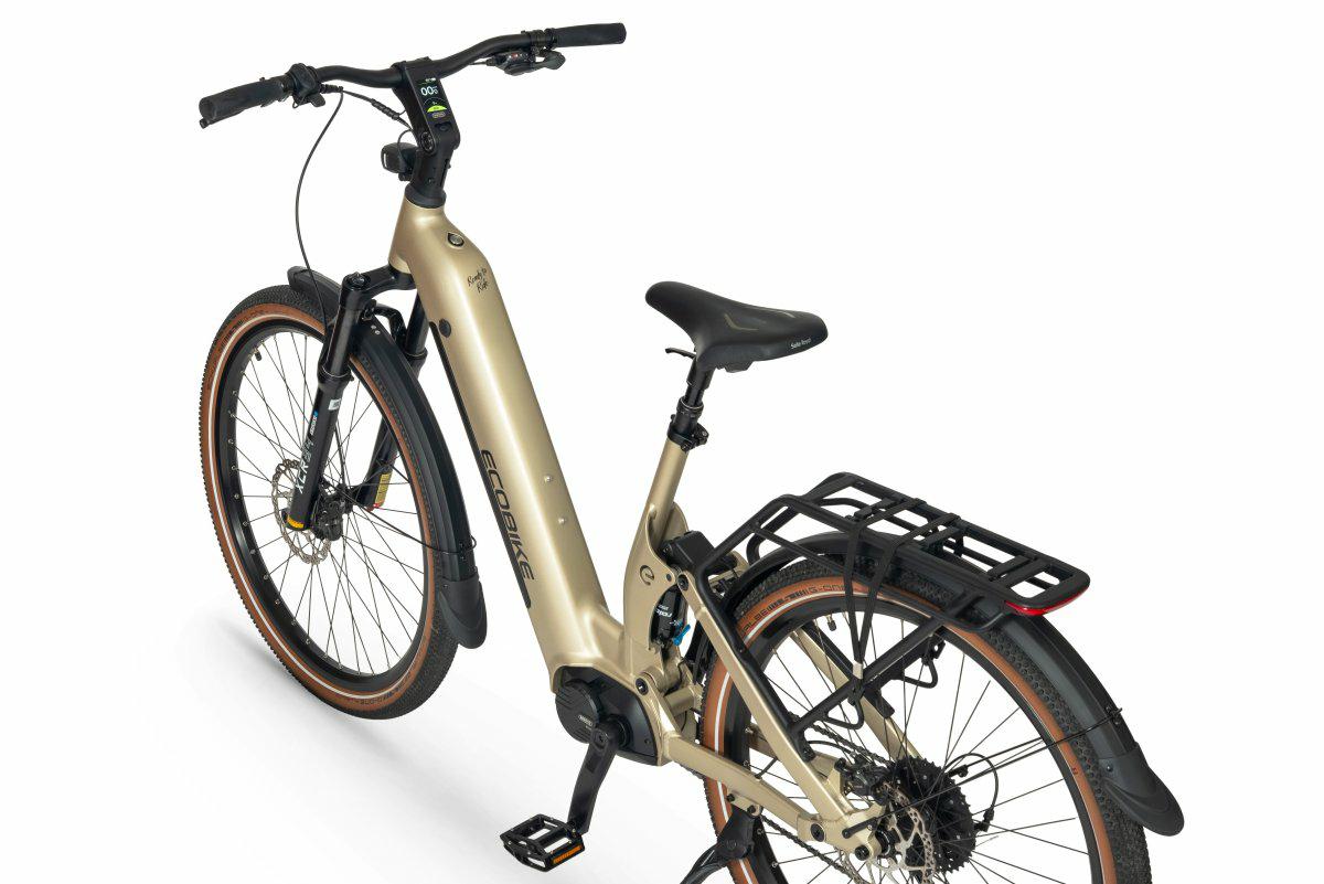 ROWER ECOBIKE FLEX