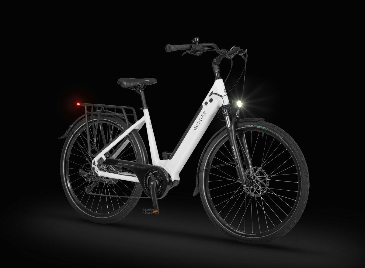 ROWER ECOBIKE LX 100