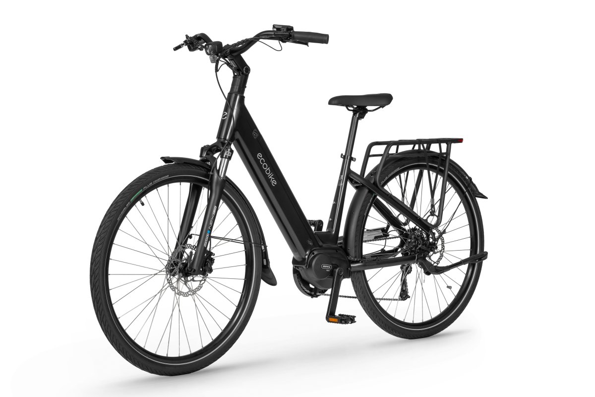 ROWER ECOBIKE LX 100