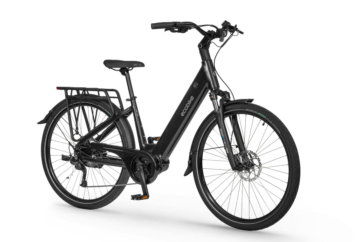 ROWER ECOBIKE LX 100