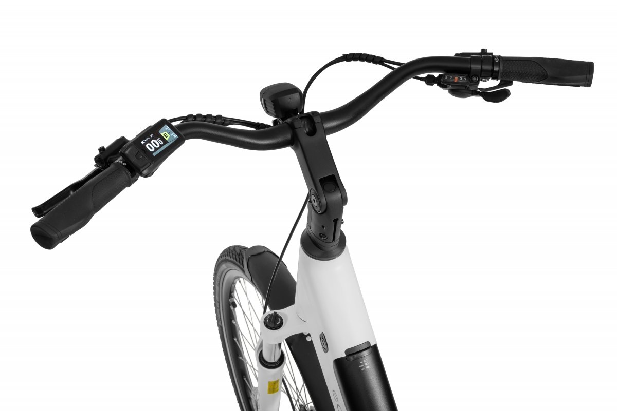 ROWER ECOBIKE LX 100