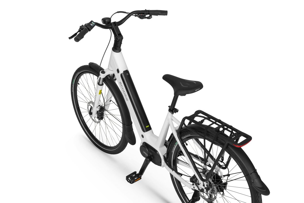 ROWER ECOBIKE LX 100