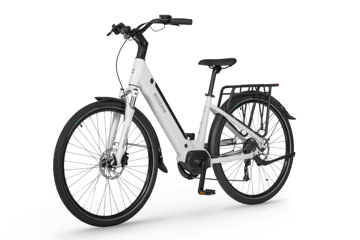 ROWER ECOBIKE LX 100