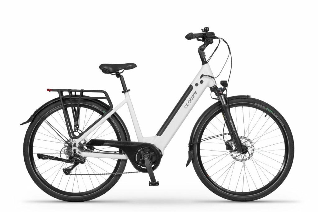ROWER ECOBIKE LX 100