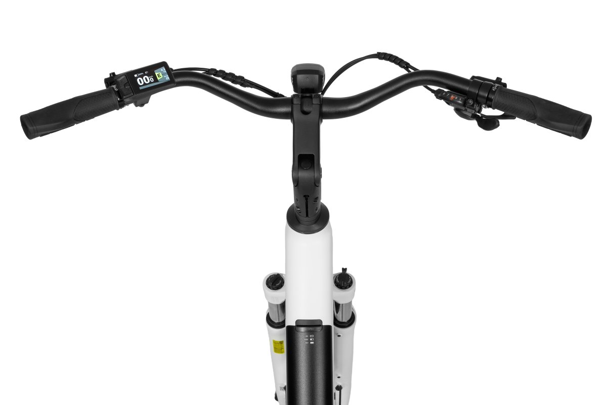 ROWER ECOBIKE LX 100