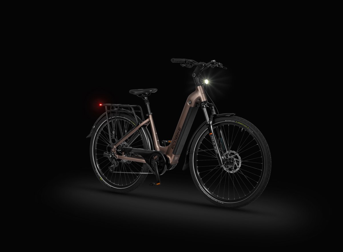 ROWER ECOBIKE LX 300 – brązowy