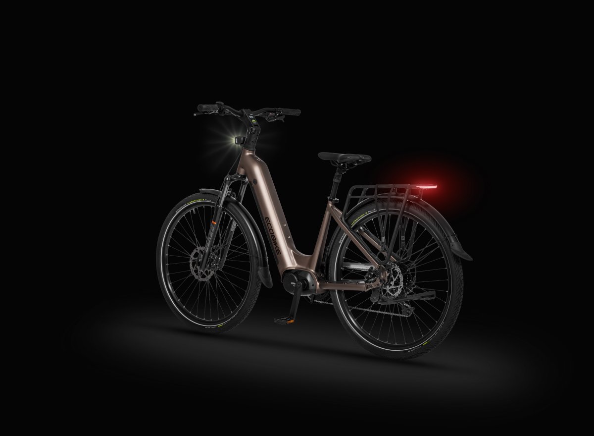 ROWER ECOBIKE LX 300 – brązowy