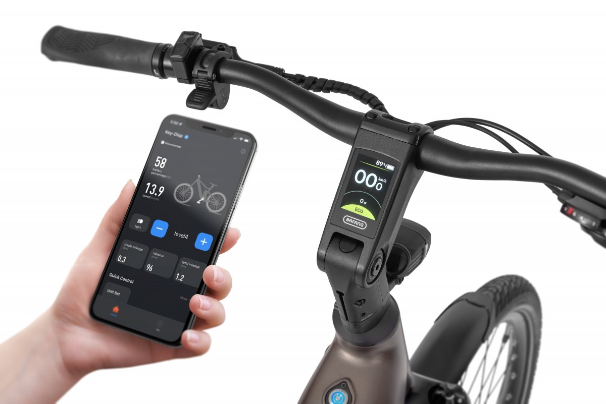 ROWER ECOBIKE LX 300 – brązowy