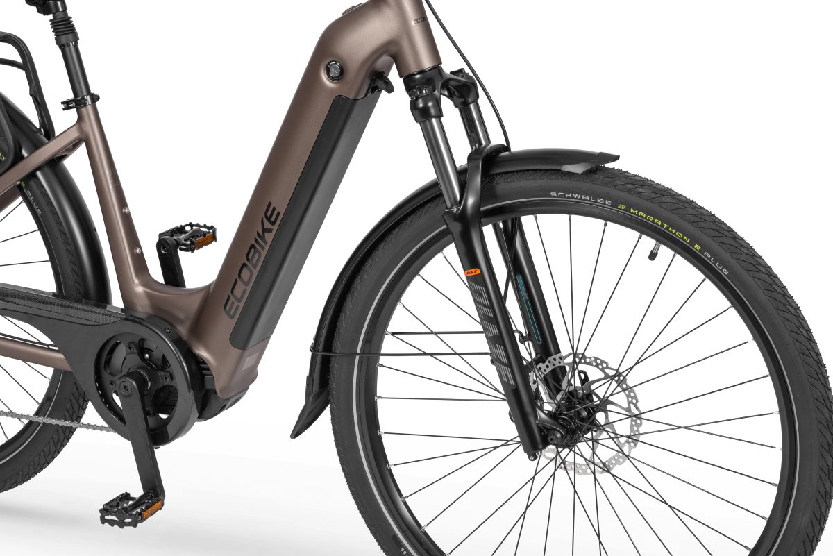 ROWER ECOBIKE LX 300 – brązowy