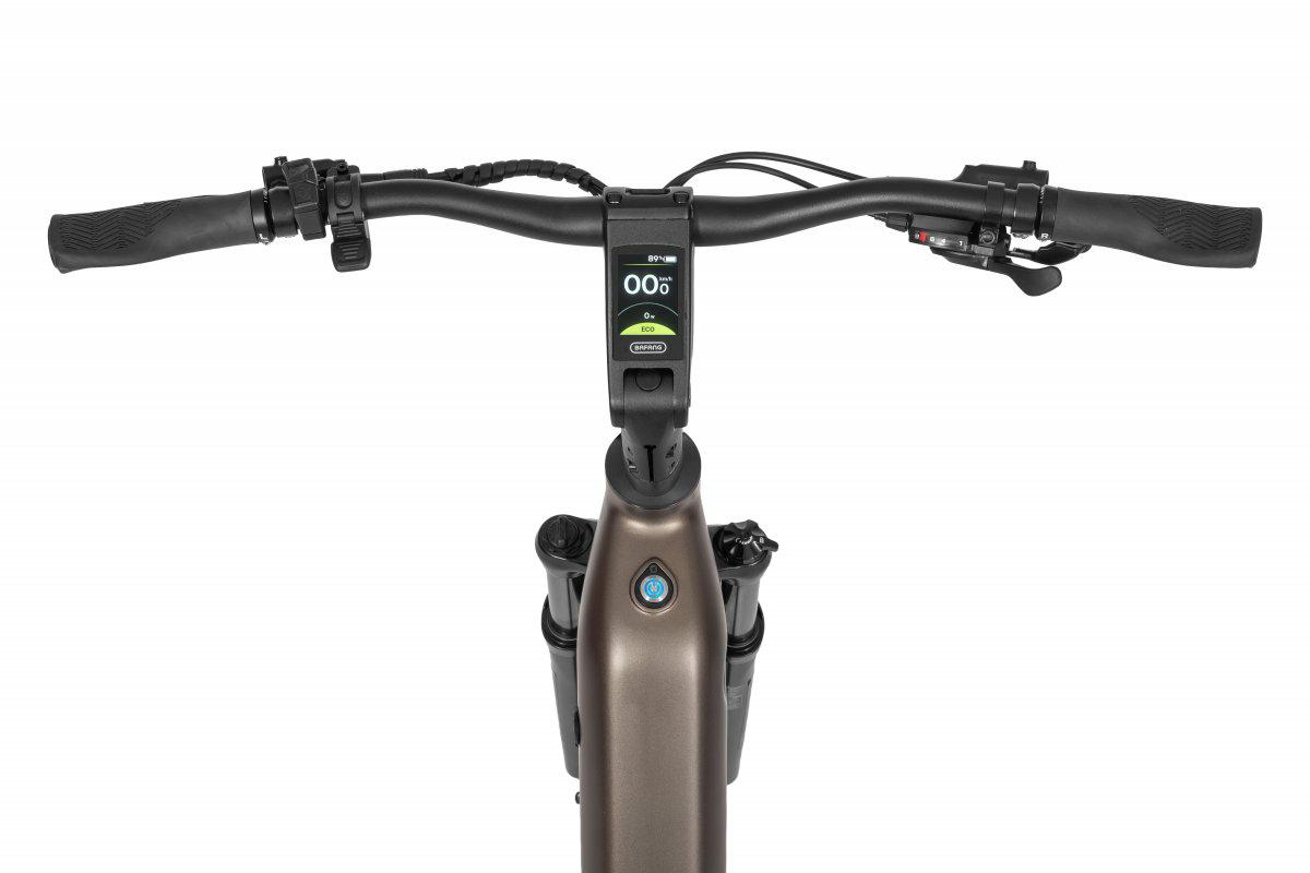 ROWER ECOBIKE LX 300 – brązowy