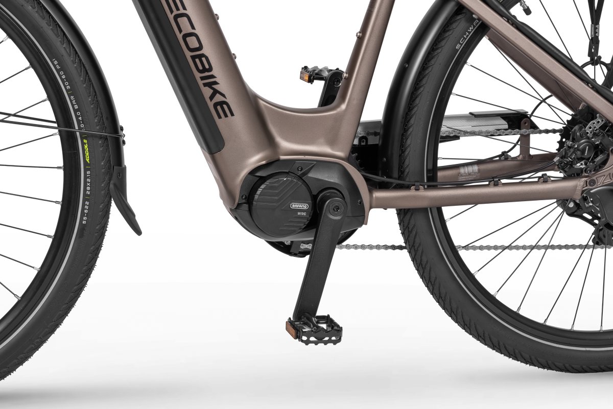 ROWER ECOBIKE LX 300 – brązowy