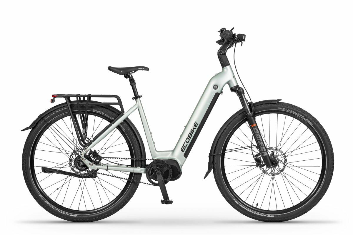 ROWER ECOBIKE LX 400 – 19″