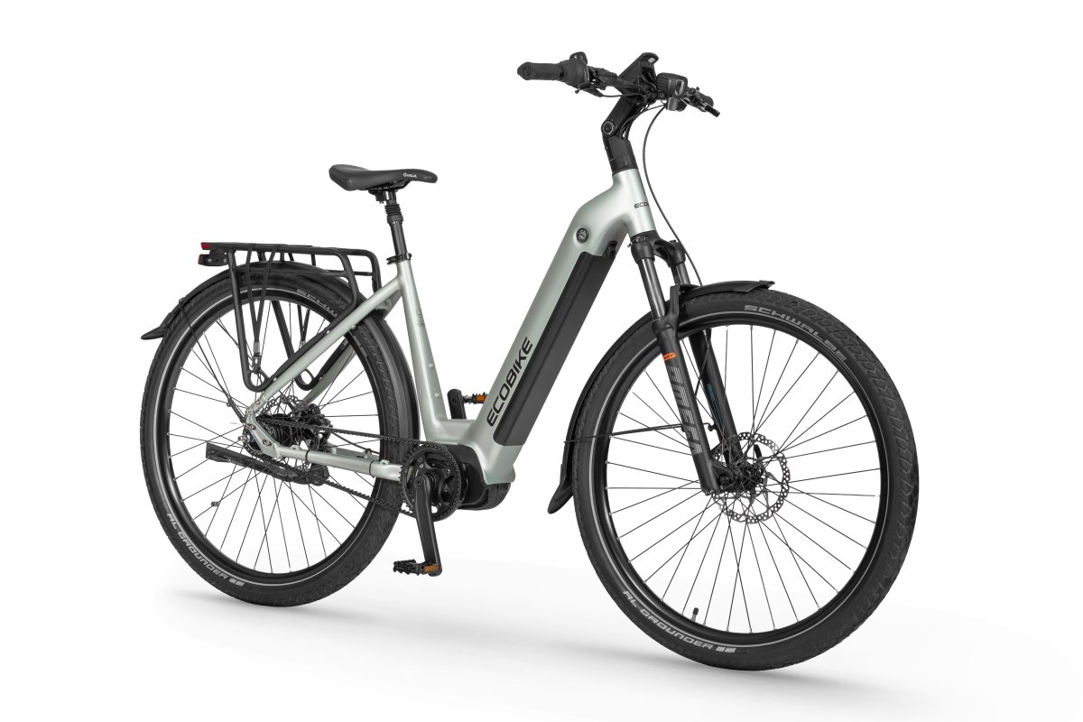 ROWER ECOBIKE LX 400 – 19″