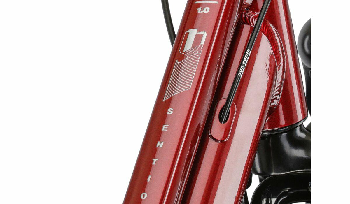 ROWER KROSS SENTIO 1.0 2024