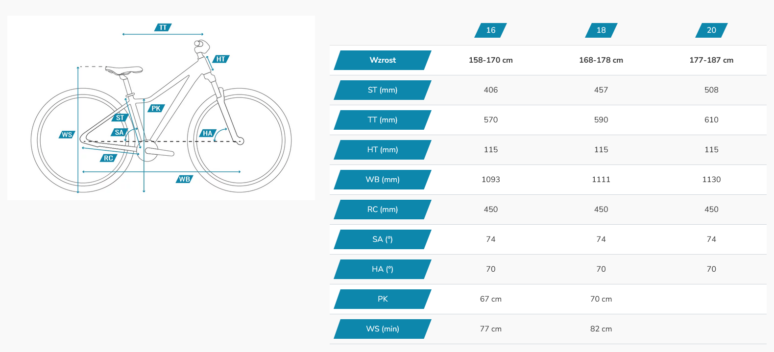 ROWER TABOU WIZZ 1.0 2022