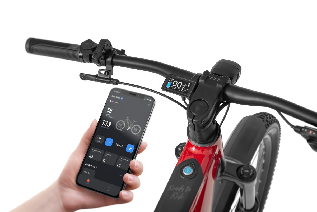 ROWER ECOBIKE RX 500 MAX SUV