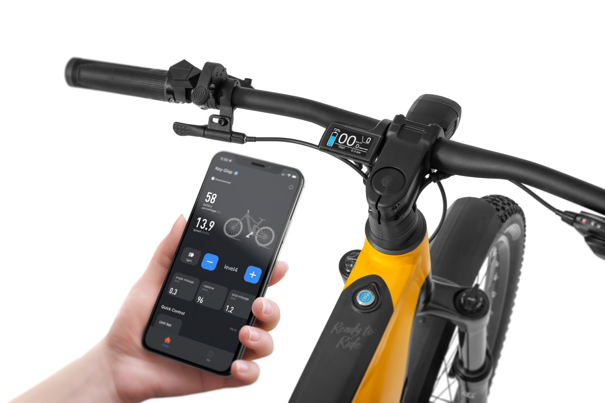 ROWER ECOBIKE RX 500 MAX SUV