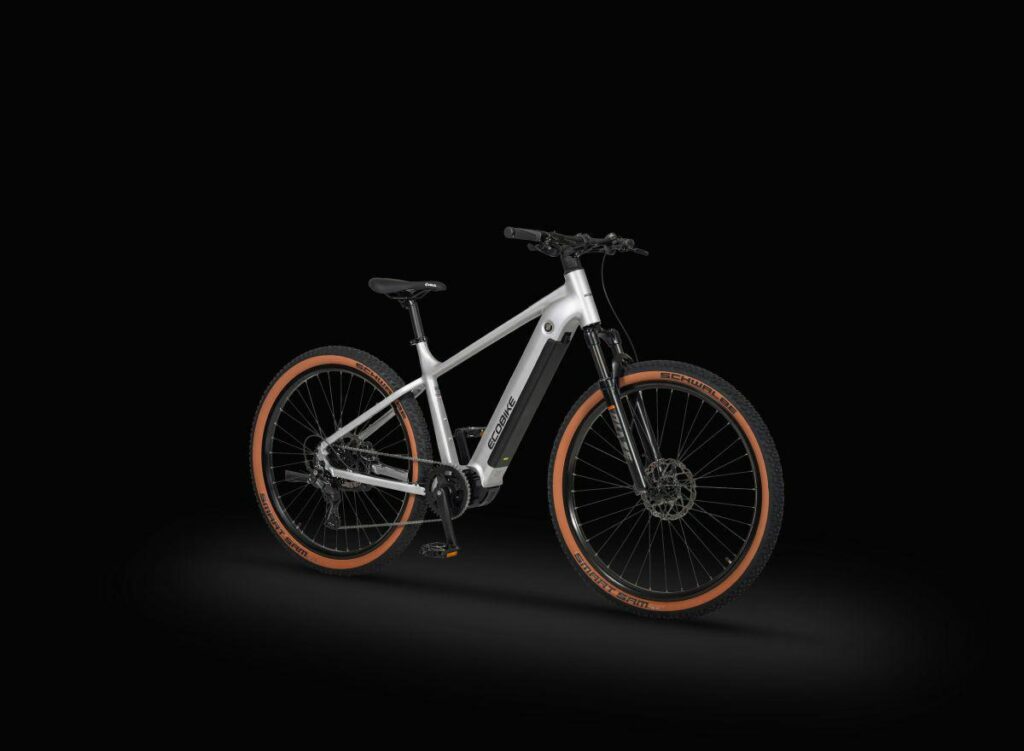 ROWER ECOBIKE SX 300