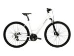 ROWER KROSS 28″ D EVADO C100